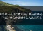 真的会有人现在才知道，蘑菇视频app下载为什么会让新手先入坑再回头