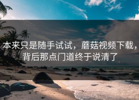 本来只是随手试试，蘑菇视频下载，背后那点门道终于说清了