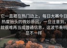 它一直藏在热门边上，每日大赛今日热度抬头的微妙原因，一旦注意到，就很难再当成普通信息，这波节奏明显不一样