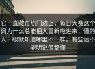 它一直藏在热门边上，每日大赛这个词为什么总能把人重新吸进来，懂的人一眼就知道哪里不一样，有些话不能明说但都懂