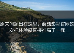 原来问题出在这里，蘑菇影视官网这次把体验感直接推高了一截