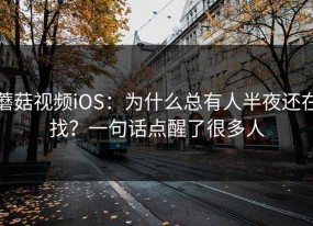 蘑菇视频iOS：为什么总有人半夜还在找？一句话点醒了很多人