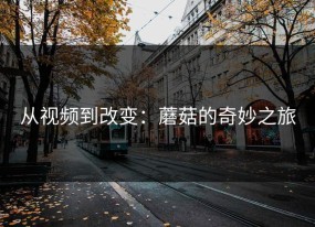 从视频到改变：蘑菇的奇妙之旅