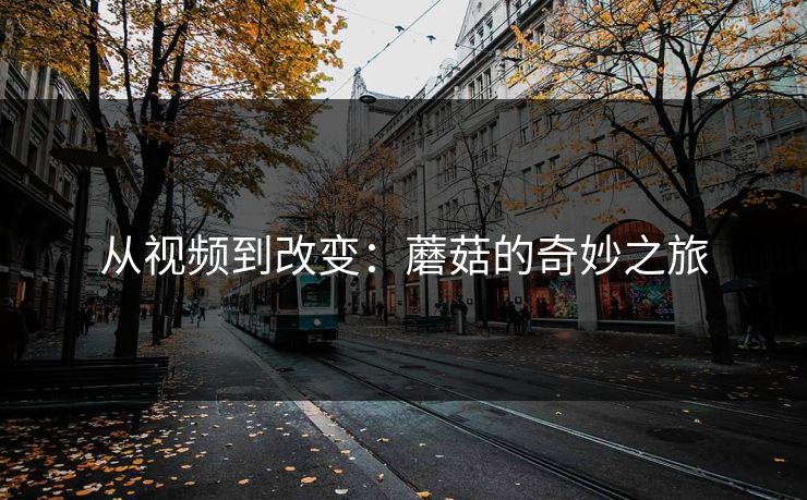 从视频到改变：蘑菇的奇妙之旅