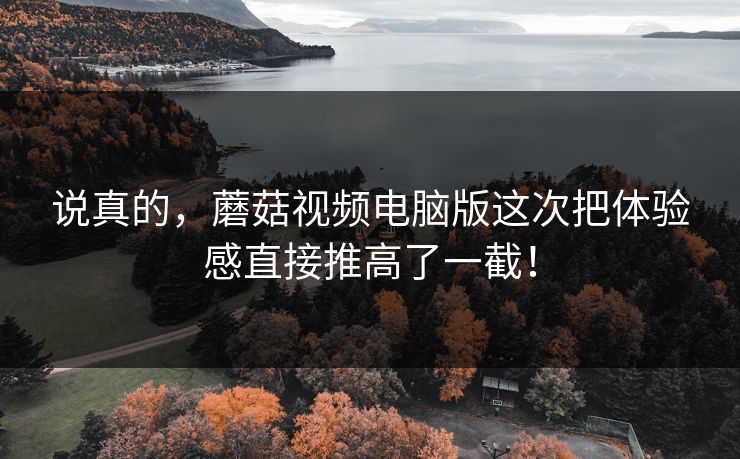 说真的，蘑菇视频电脑版这次把体验感直接推高了一截！