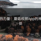 低调的力量：蘑菇视频App的神奇之处