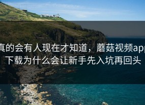 真的会有人现在才知道，蘑菇视频app下载为什么会让新手先入坑再回头