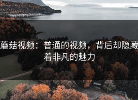 蘑菇视频：普通的视频，背后却隐藏着非凡的魅力