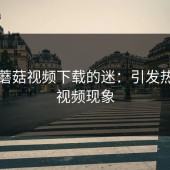 探秘蘑菇视频下载的迷：引发热议的视频现象
