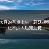 这一次真的有点上头，蘑菇视频这次让不少人后知后觉
