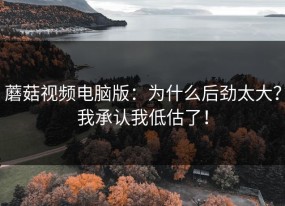 蘑菇视频电脑版：为什么后劲太大？我承认我低估了！