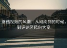 蘑菇视频的风潮：从刚刷到的时候，到评论区风向大变