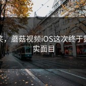 先别笑，蘑菇视频iOS这次终于露出真实面目