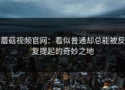 蘑菇视频官网：看似普通却总能被反复提起的奇妙之地
