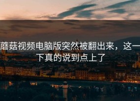 蘑菇视频电脑版突然被翻出来，这一下真的说到点上了
