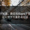 用了才知道，蘑菇视频app下载真正让人停不下来的点在这