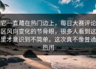 它一直藏在热门边上，每日大赛评论区风向变化的节骨眼，很多人看到这里才意识到不简单，这次真不像普通热闹