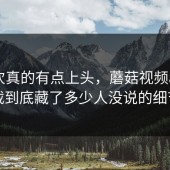 这一次真的有点上头，蘑菇视频app下载到底藏了多少人没说的细节