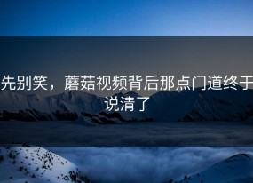 先别笑，蘑菇视频背后那点门道终于说清了
