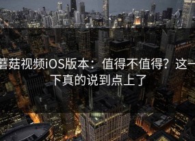 蘑菇视频iOS版本：值得不值得？这一下真的说到点上了