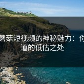 揭秘蘑菇短视频的神秘魅力：你不知道的低估之处