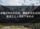 谁懂这种后知后觉，蘑菇影视在线观看真正让人停不下来的点