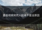 蘑菇视频突然火起来不是没原因