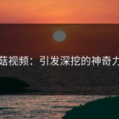 蘑菇视频：引发深挖的神奇力量