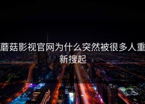 蘑菇影视官网为什么突然被很多人重新搜起