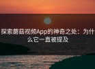 探索蘑菇视频App的神奇之处：为什么它一直被提及
