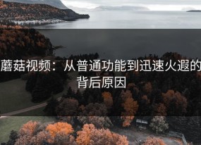 蘑菇视频：从普通功能到迅速火遐的背后原因