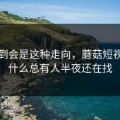 没想到会是这种走向，蘑菇短视频为什么总有人半夜还在找