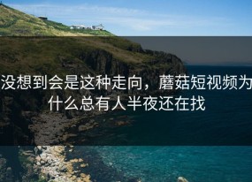 没想到会是这种走向，蘑菇短视频为什么总有人半夜还在找