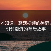 用了才知道，蘑菇视频的神奇力量：引领潮流的幕后故事