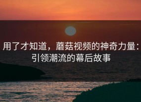 用了才知道，蘑菇视频的神奇力量：引领潮流的幕后故事