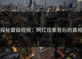 探秘蘑菇视频：网红现象背后的真相