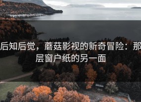 后知后觉，蘑菇影视的新奇冒险：那层窗户纸的另一面