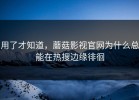 用了才知道，蘑菇影视官网为什么总能在热搜边缘徘徊