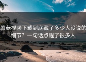 蘑菇视频下载到底藏了多少人没说的细节？一句话点醒了很多人
