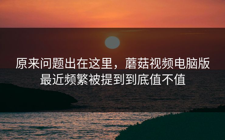 原来问题出在这里，蘑菇视频电脑版最近频繁被提到到底值不值