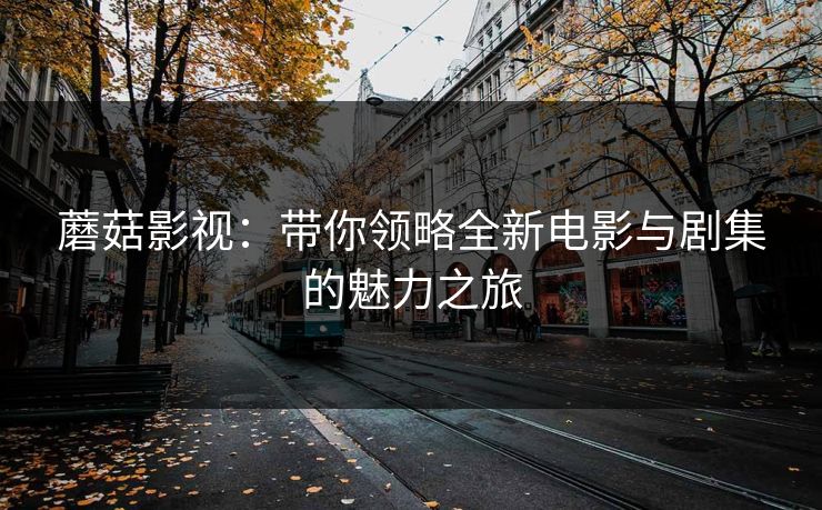 蘑菇影视：带你领略全新电影与剧集的魅力之旅