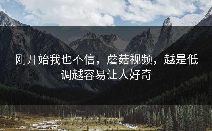 刚开始我也不信，蘑菇视频，越是低调越容易让人好奇