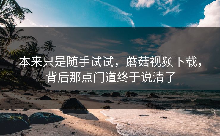 本来只是随手试试，蘑菇视频下载，背后那点门道终于说清了