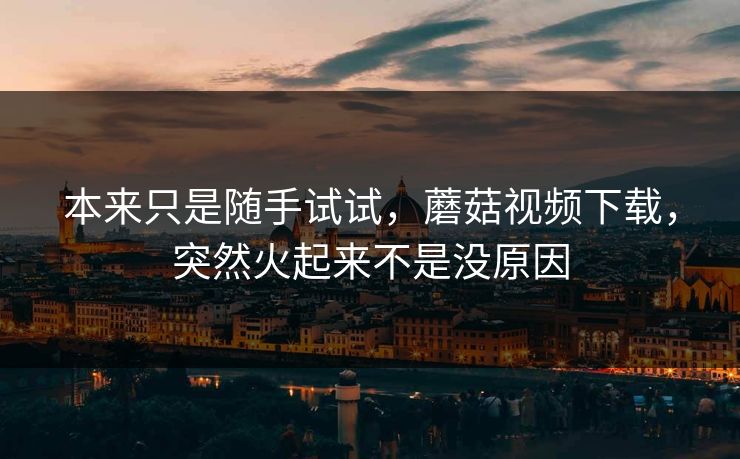 本来只是随手试试，蘑菇视频下载，突然火起来不是没原因