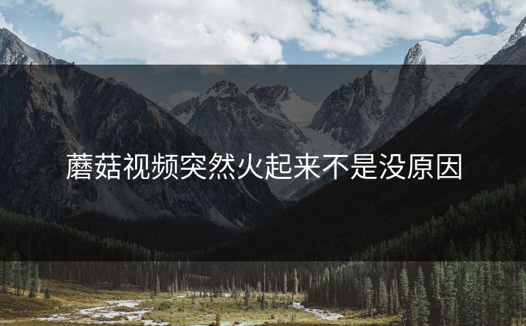 蘑菇视频突然火起来不是没原因