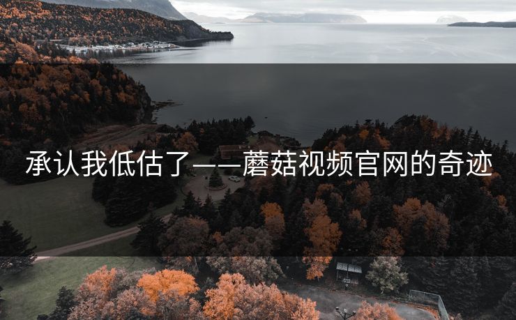 承认我低估了——蘑菇视频官网的奇迹