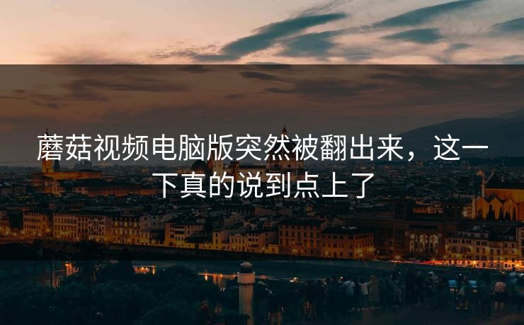 蘑菇视频电脑版突然被翻出来，这一下真的说到点上了