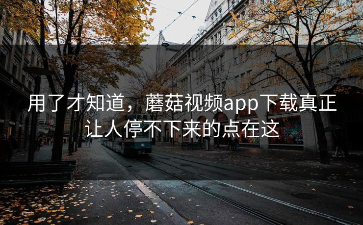 用了才知道，蘑菇视频app下载真正让人停不下来的点在这