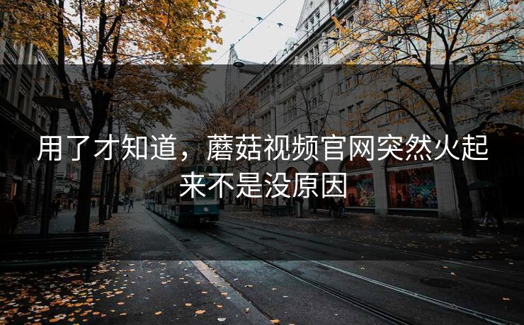 用了才知道，蘑菇视频官网突然火起来不是没原因