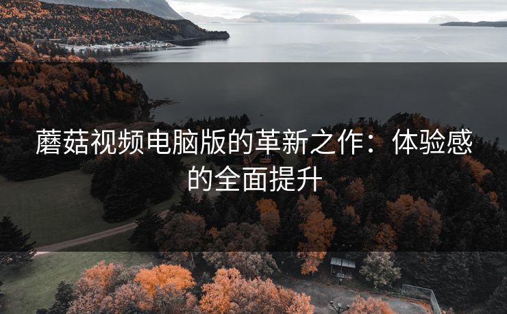 蘑菇视频电脑版的革新之作：体验感的全面提升